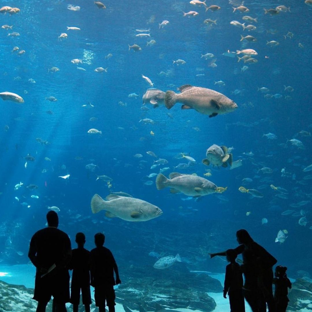 Alanya nach Antalya Aquarium