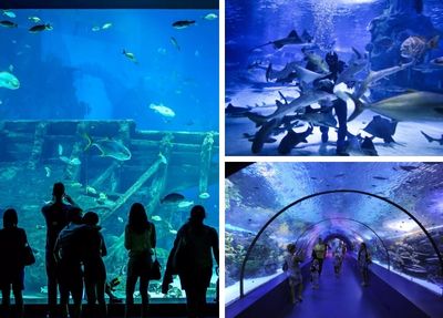 Alanya nach Antalya Aquarium