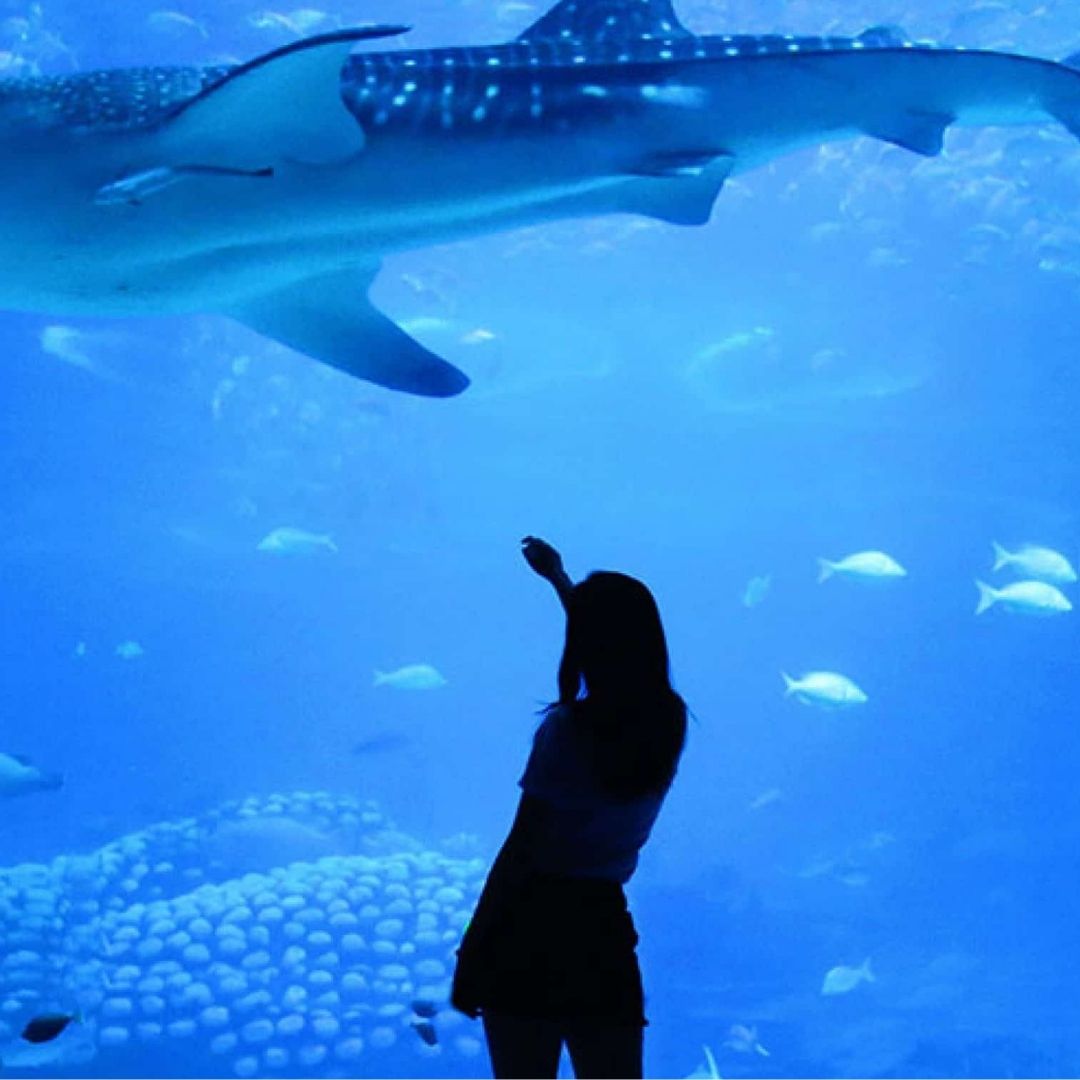 Antalya Aquarium von Side