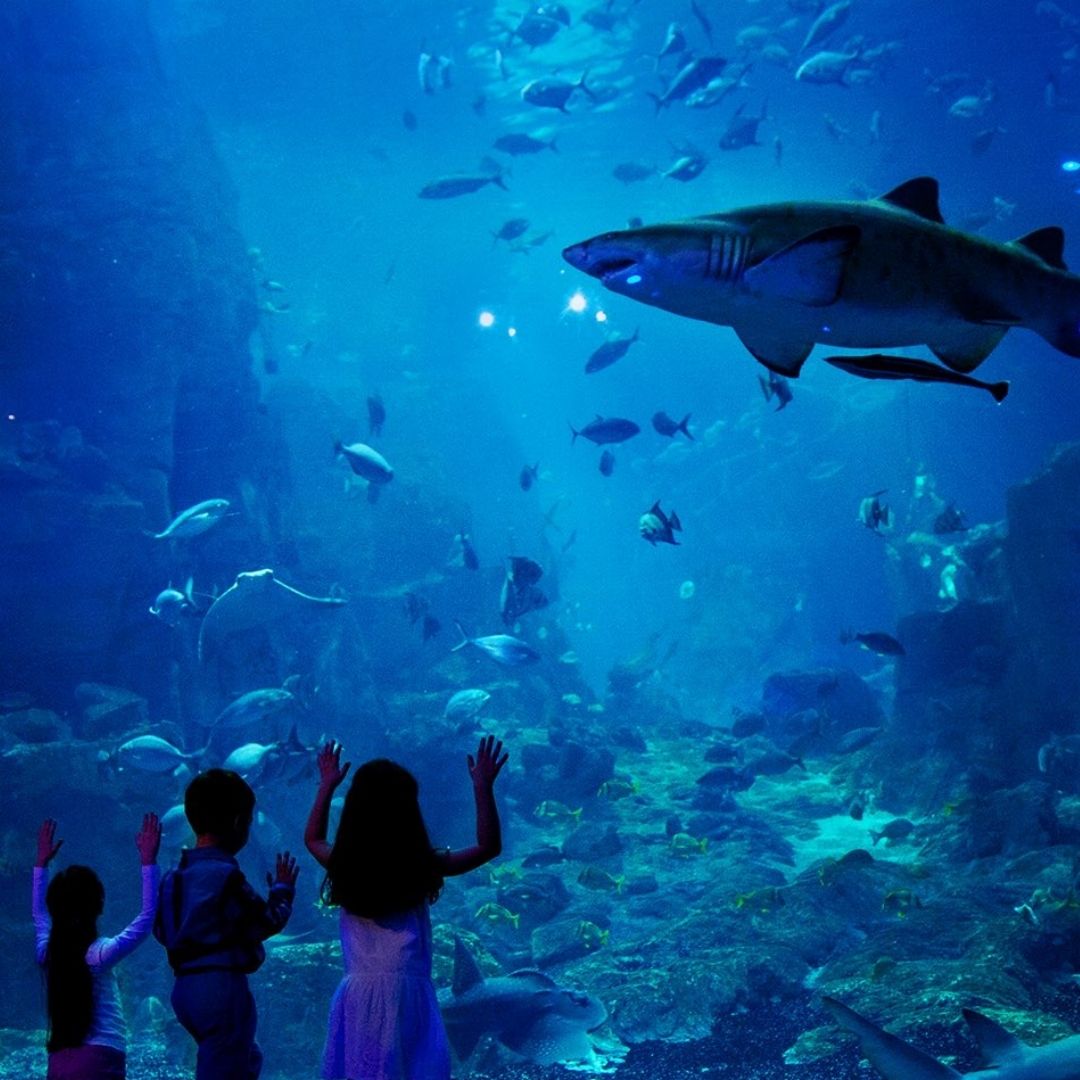 Antalya Tunnel Aquarium