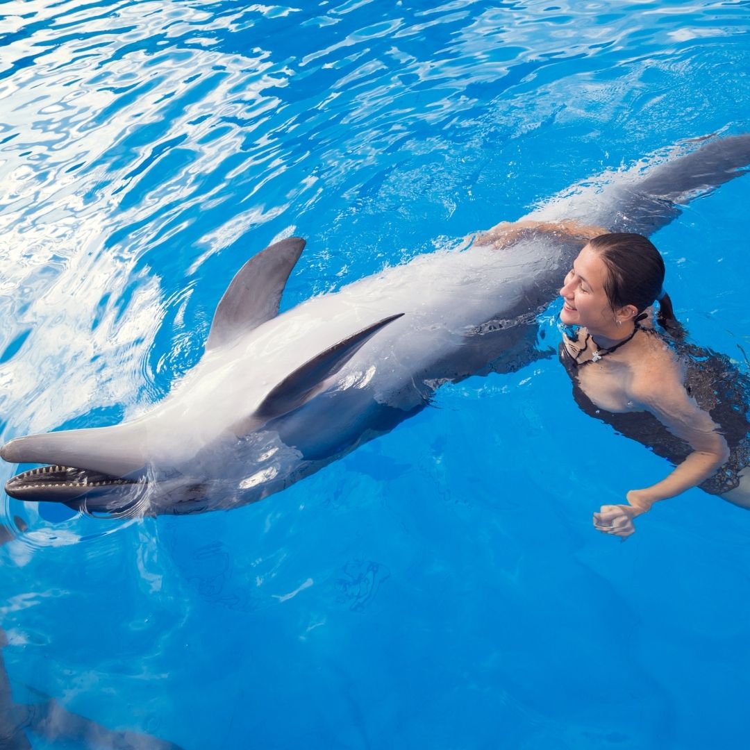 Antalya Schwimmen mit Delfinen