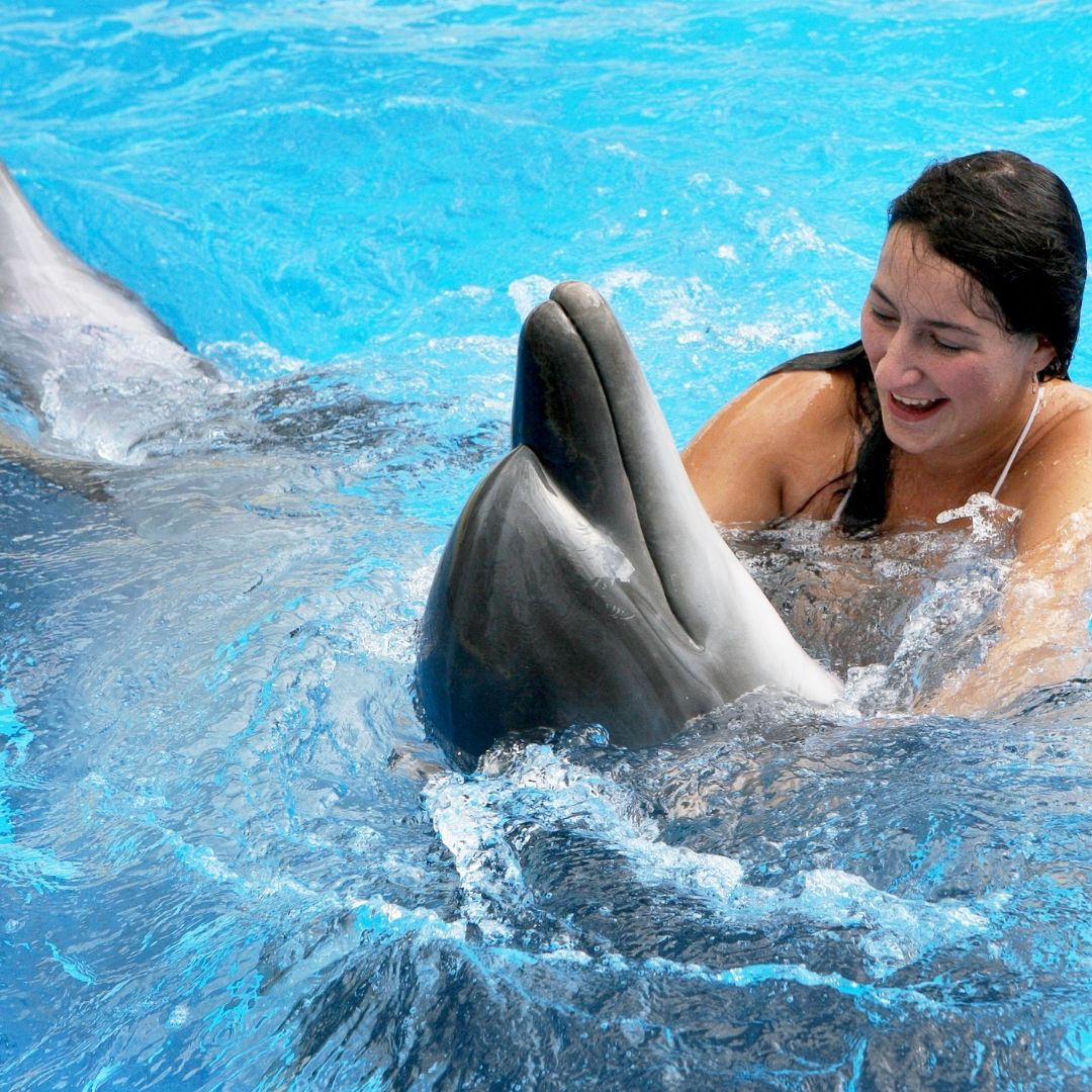 Antalya Schwimmen mit Delfinen