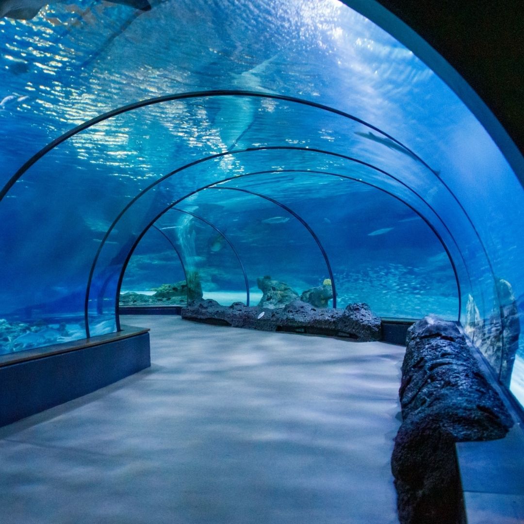 Antalya Aquarium von Manavgat